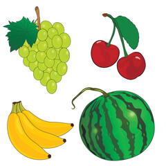 Fruits and berries drawn icons vector set. Colorful fruit illustration for farm product design, vegetarian shop market label. Banana, watermelon, grapes, cherries.	