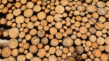 stack of many cut logs in an industrial sawmill