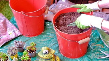 Gardening in the terrace