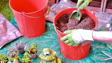 Gardening in the terrace