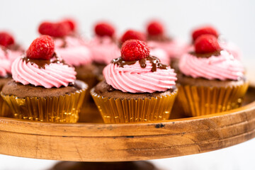 Chocolate raspberry cupcakes