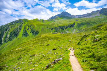 Fototapeta na wymiar Green alpine meadows and tourist path