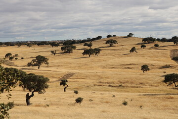 paisagem típica alentejana, Portugal.