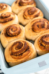 Cinnamon rolls