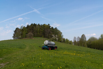 Edge of the forest. Green meadow with dandelions. Barrel of water for animals. Pasture, yellow flowers. Spring: blue sky, clouds, fresh air. Beautiful nature. Village. Joyful mood. Calm.
