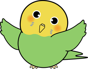 両手を広げるかわいいセキセイインコ