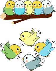 Obraz premium かわいいセキセイインコ達のセット