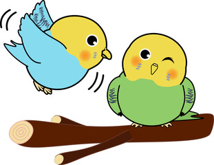 止まり木にとまるかわいいセキセイインコ