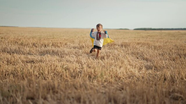 Happy little boy - Ukrainian patriot child running with national flag in field after collection wheat, open area. Ukraine, peace, independence, freedom, victory in war.