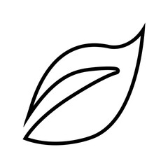 Multimedia and connection web icon, Leaf icon