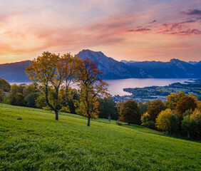 Peaceful autumn Alps mountain lake. Sunrise view to Traunsee lake, Gmundnerberg, Altmunster am...