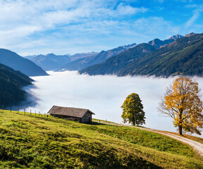 Misty autumn morning mountain and big lonely trees view from hiking path near Dorfgastein, Land Salzburg, Austria.