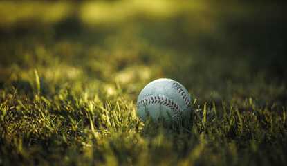 A white baseball ball on a green lawn, photo in vintage style. The history of the baseball team.Horizontal photo with a ball on the grass.