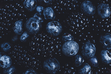 Fresh ripe blueberries with blackberries