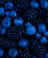 Fresh ripe blueberries with blackberries