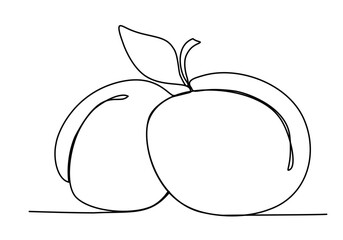 Apricot with a leaf Plum Peach Nectarine Continuous Line Drawing isolated minimalistic trendy style Vector Illustration Black on White