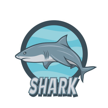 Vector Cartoon Shark Sign. Hand Drawn Colored White Shark, Logo Design. Ocean Predator. Marine, Ocean, Sea Animals. Shark Character Design for Logo, Tatto, Print, Cards