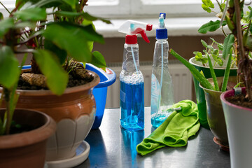 House cleaning, table with flower pots and cleaning products, clutter
