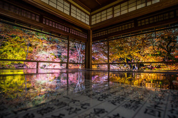 京都 ライトアップされた秋の瑠璃光院