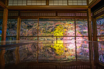 京都 夜の瑠璃光院を彩るカラフルなもみじ