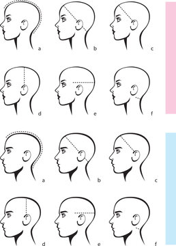 Stylized image of a male y female head. Detailed size chart for ordering hair system. Template for selecting size of a wig or caps for women and men. Vector illustration isolated on white background