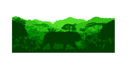 Fototapeta premium Vector horizontal seamless tropical rainforest Jungle background with tiger