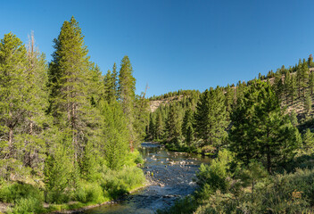 Fototapeta na wymiar River through California Woodlands near Tahoe