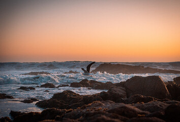 Atardecer en El Quisco, Chile 