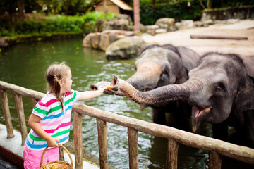 Fototapeta premium Kids feed elephant in zoo. Family at animal park.