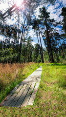 Strawberry Canyon Path