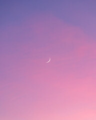 whitehattester01@greekbill.com