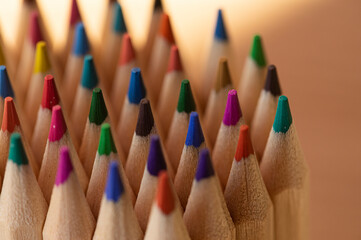 Back to school. School concept. Photo. Education