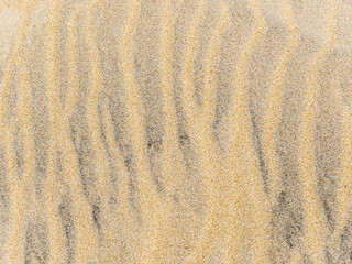 Fototapeta na wymiar sand dune close up of wavy pattern