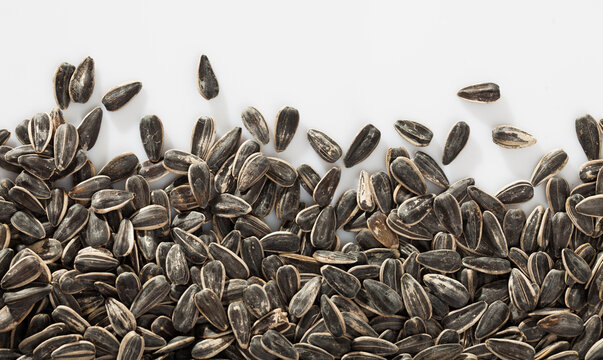 Picture of sunflower black seeds on white background close up