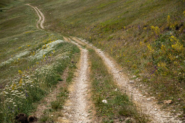 Fototapeta na wymiar Mountain road in spring ridge landscape.