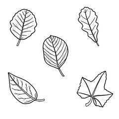 5x Blätter Herbst Laub ~ schwarz weiß ~ Vorlage / Template  ~ Icons Zeichen Grafik Symbole Clipart 