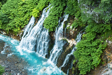 Obraz premium 北海道 美瑛の白ひげの滝