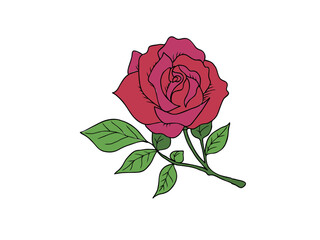 バラ　県花（茨城県）