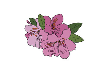 ツツジ　県花（静岡県）