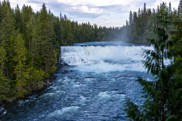 rushing river waterfall in forest