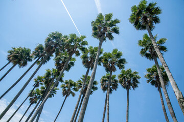 六甲アイランド