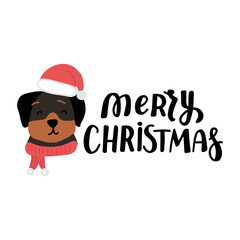 Fototapeta na wymiar Christmas puppy rottweiler isolated. Cute cartoon illustration with dog lovers quote. We woof you a Merry Christmas. Holidays design elment for greeting cards, stickers, t shirt, poster.