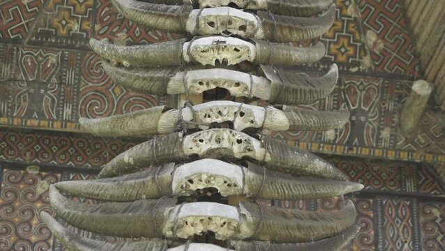 Tongkonan Traditional Ancestral House in Toraja, South Sulawesi, Indonesia - Buffalo Skulls Bones Horns in Row on Facade