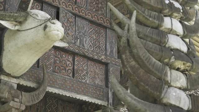 Tongkonan Traditional Ancestral House in Toraja, South Sulawesi, Indonesia - Buffalo Skulls Bones Horns in Row on Facade