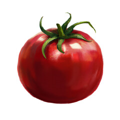 vegetable tomato food - isolated illustration transparent background - digital painting