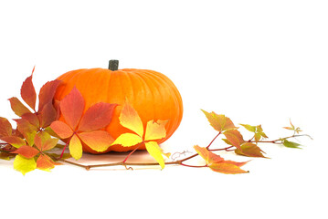 Naklejka na ściany i meble Thanksgiving, Halloween autumnal or fall still life