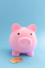 Pink piggy bank and coins on blue paper background saving money and financial ideas