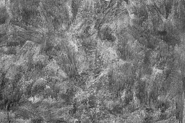 Aged cement wall, grey and grunge background, online urban textures