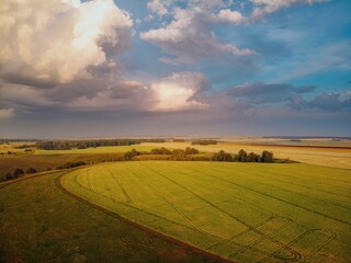 Clouds and clouds in the evening over the fields in the hills. The light of the setting sun illuminates the clouds and the grass and birch trees