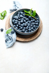 Fresh blueberry on neutral background.